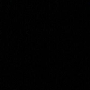 Meet your Posher, Max